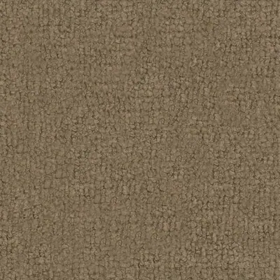 VGT 3063 009